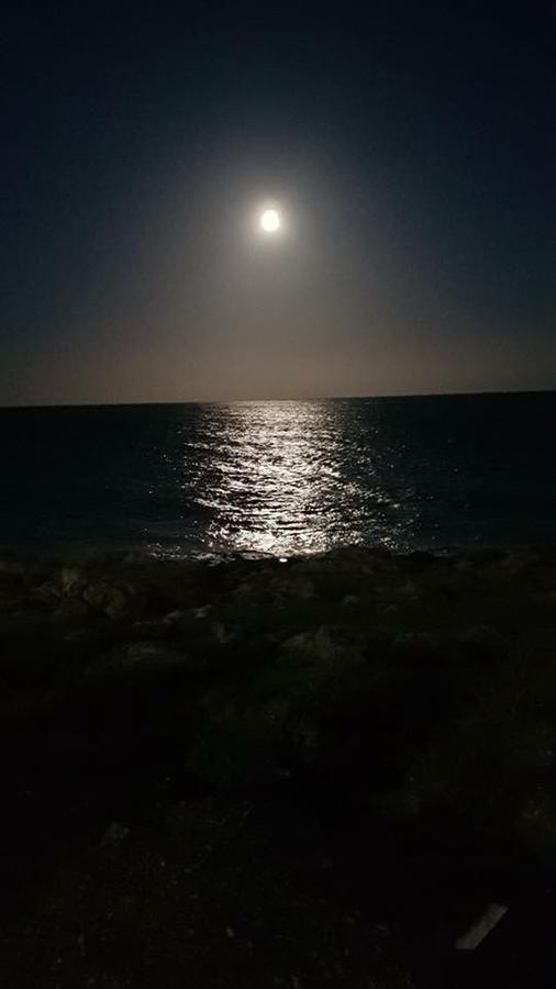 Hotel Punta Del Cantal Mojacar Bagian luar foto